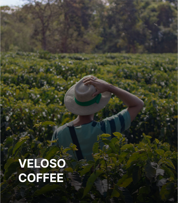 VELOSO
                                COFFEE